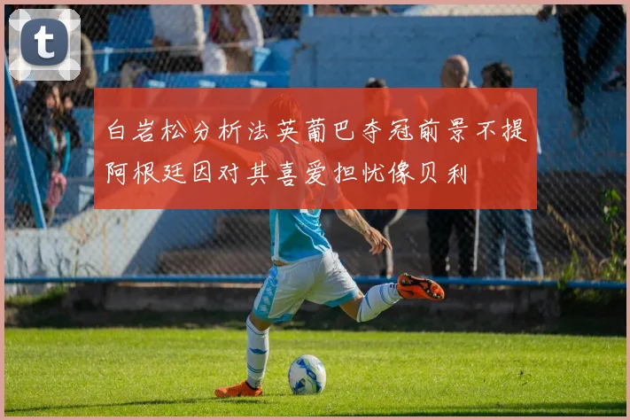 白岩松分析法英葡巴夺冠前景不提阿根廷因对其喜爱担忧像贝利