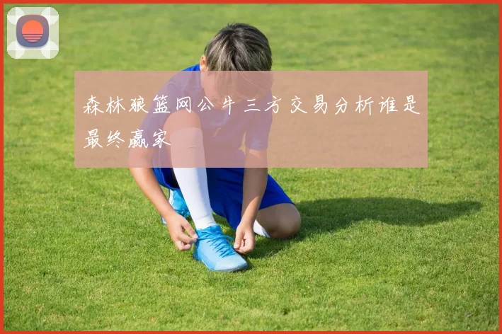 森林狼篮网公牛三方交易分析谁是最终赢家