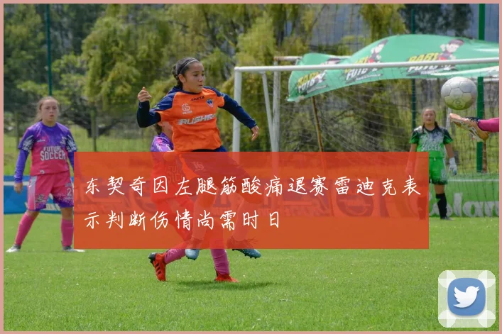 东契奇因左腿筋酸痛退赛雷迪克表示判断伤情尚需时日